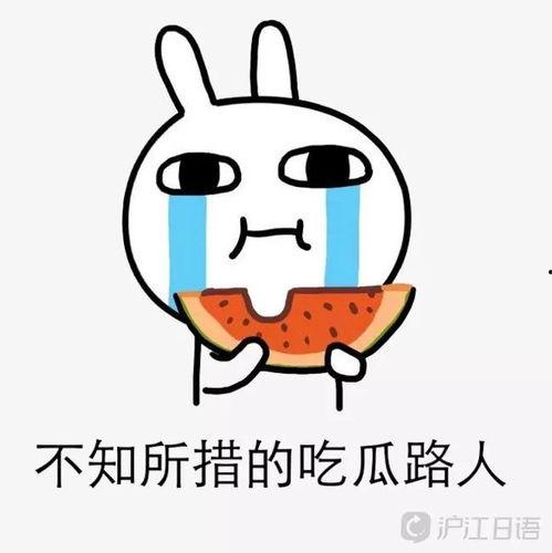 娱乐圈吃瓜路人,揭秘吃瓜路人的幕后故事